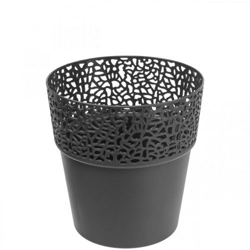 Floristik24 Jardinera maceta de plástico antracita Ø11,5cm H12,5cm