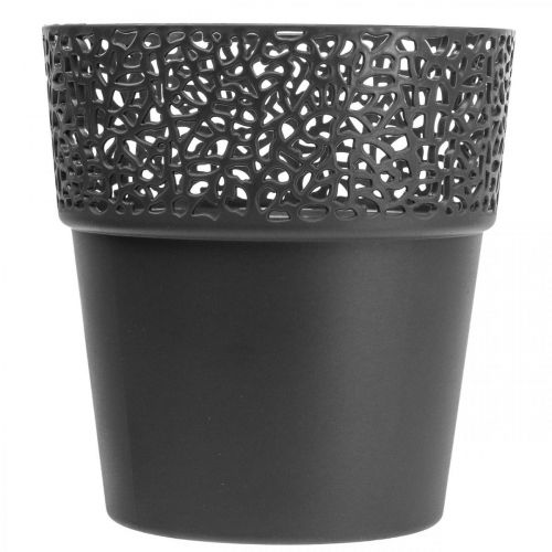 Floristik24 Jardinera maceta de plástico antracita Ø13cm H13.5cm