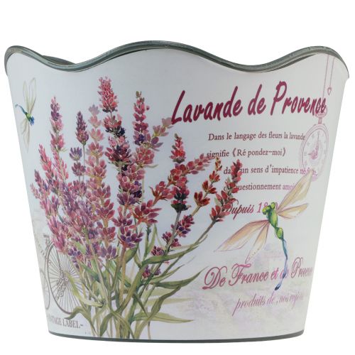 Floristik24 Macetero macetero de plástico lavanda de verano Ø16,5cm H13,5cm