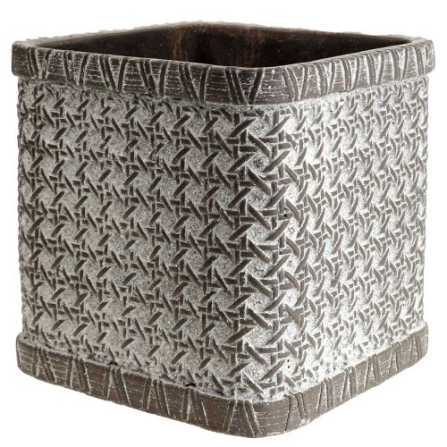 Floristik24 Jardinera Jardinera Maceta Cerámica 15×15×15cm