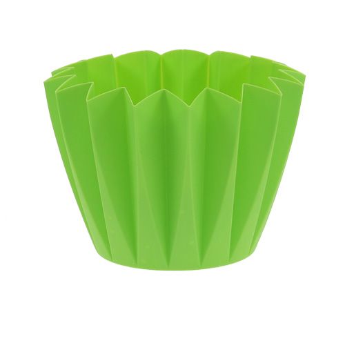 Floristik24 Maceta Adonis Verde 14cm 20uds