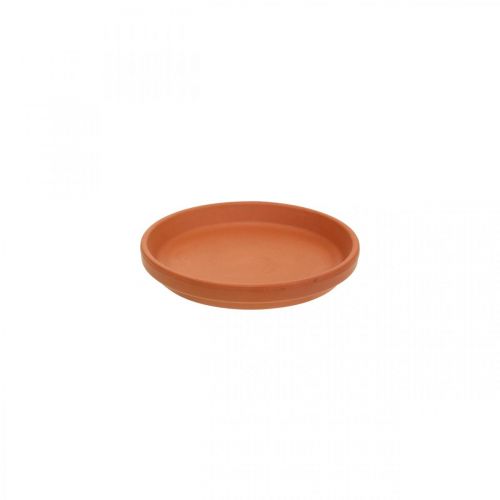 Floristik24 Posavasos, cuenco de barro, cerámica de terracota Ø6,2cm