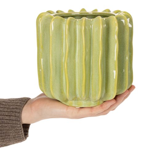Artículo Maceta de cactus, recipiente ideal para acentos exóticos en el hogar, 16 cm
