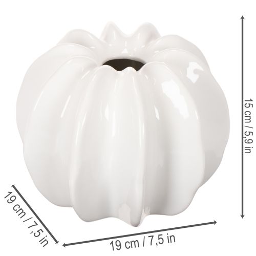 Jarrón decorativo con forma de calabaza, brillante, decoración otoñal para salón, 19 cm. | Floristik24.es