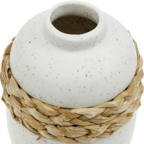 Artículo Florero de cerámica blanca y jarrón de algas marinas decoración de verano H17.5cm