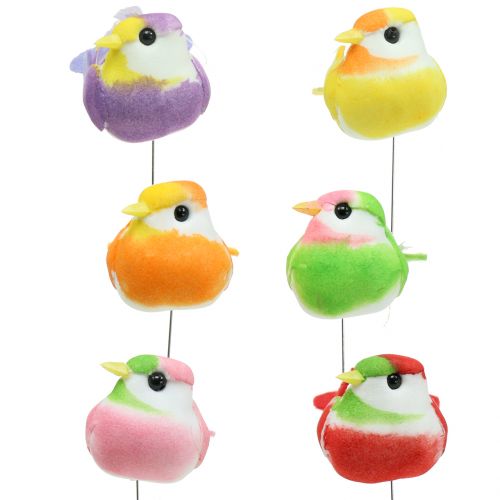 Floristik24 Pájaros en alambre de colores 8cm 12pcs