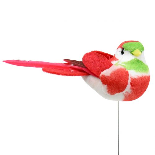 Floristik24 Pájaros en alambre de colores 8cm 12pcs