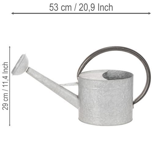 Regadera metálica vintage, gris plateada, elegante decoración de jardín, jarrón para flores, 53 cm de largo x 29 cm de alto. | Floristik24.es
