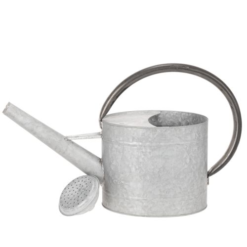 Regadera metálica vintage, gris plateada, elegante decoración de jardín, jarrón para flores, 53 cm de largo x 29 cm de alto. | Floristik24.es