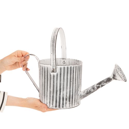 Maceta vintage de 17 cm de diámetro, regadera decorativa, maceta de metal estilo shabby chic. | Floristik24.es