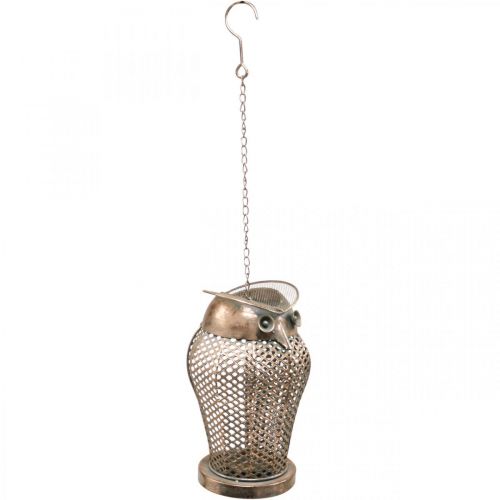 Floristik24 Linterna vintage Búho Linterna de jardín Portavelas Oro Al. 29 cm