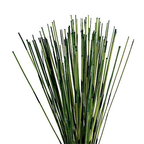 Floristik24 Vlei Reed 400g Verde Oscuro