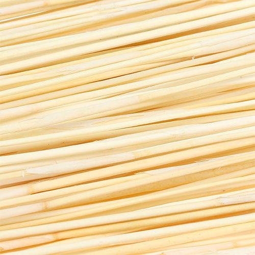 Floristik24 Vlei Reed 400g blanqueado