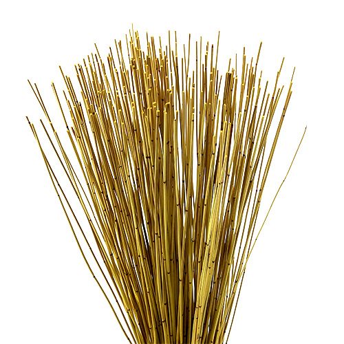 Floristik24 Vlei Reed 400g amarillo