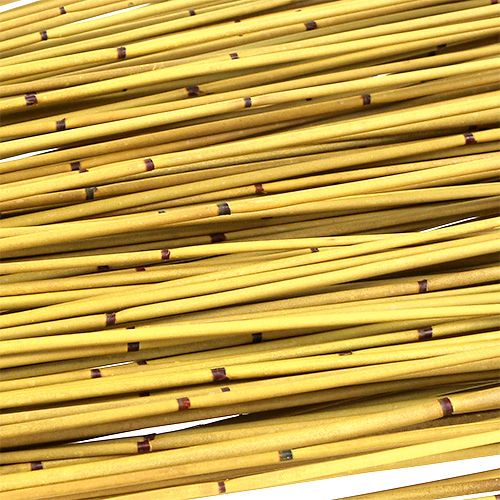 Floristik24 Vlei Reed 400g amarillo