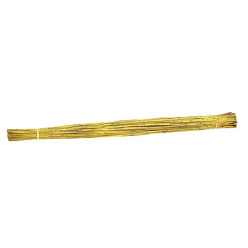 Floristik24 Vlei Reed 400g amarillo