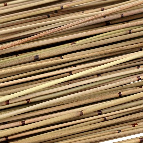 Artículo Vlei Reed 400g natural