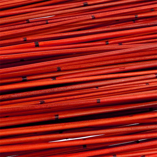 Floristik24 Vlei Carrizo 400g Rojo