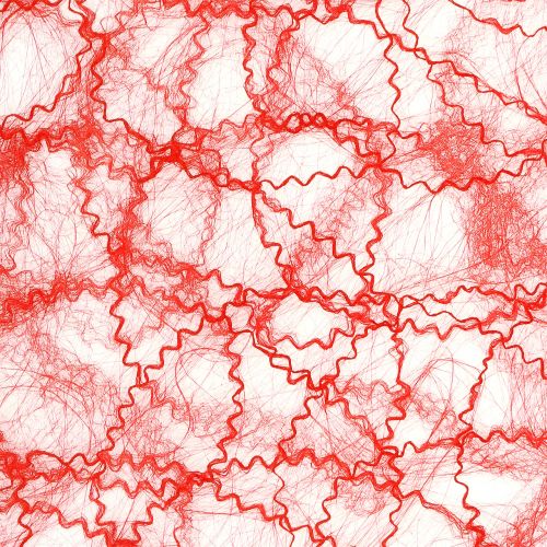 Floristik24 Mantel polar rojo 30cmx25m