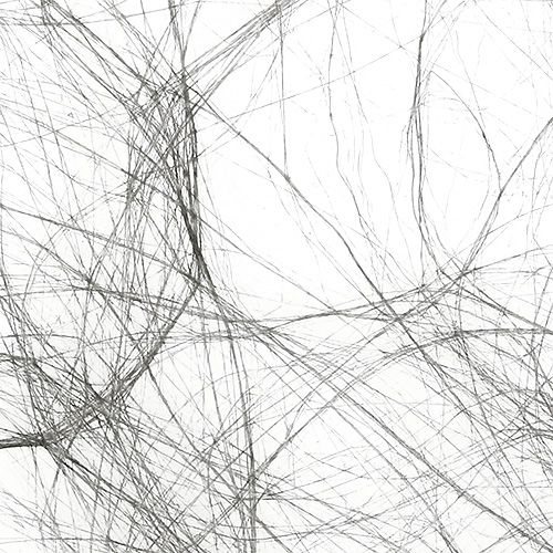 Artículo Polar 8cm 25m gris