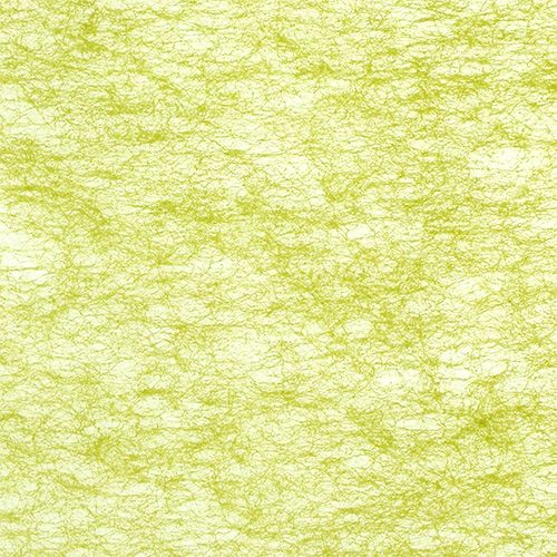 Floristik24 Polar verde oliva 23cm 25m