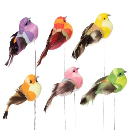 Floristik24 Pájaro artificial con alambre para manualidades, decoración colorida para cualquier época del año, 8 cm, 12 piezas