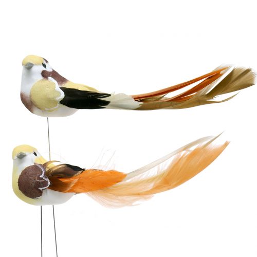 Floristik24 Pájaro en el cable Marrón / Naranja 14cm 12pcs