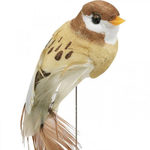 Floristik24 Decoración primaveral, mini pájaros, pájaros decorativos sobre alambre marrón, beige Al. 2,5 cm 24 piezas