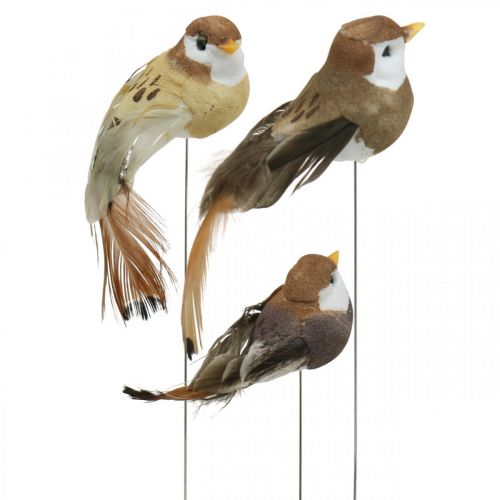 Floristik24 Decoración primaveral, mini pájaros, pájaros decorativos sobre alambre marrón, beige Al. 2,5 cm 24 piezas