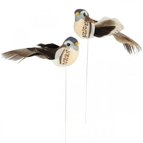 Floristik24 Decoración de pájaros, pájaros en alambre, decoración de primavera azul, marrón H3.5cm 12pcs