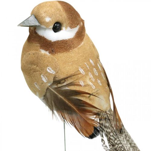 Artículo Primavera, pájaro en alambre, pájaros decorativos colores naturales H7.5cm 12pcs