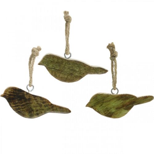 Floristik24 Pájaros para colgar, decoración primaveral, percha de madera natural, verde Al.4cm 6 piezas
