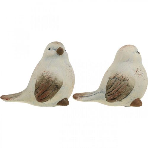 Floristik24 Pájaros de cerámica, primavera, pájaros decorativos blanco, marrón Al. 7/7,5 cm 6 uds.