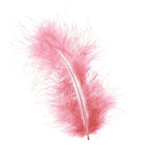 Artículo Plumas de ave plumas artesanales en primavera rosa Pascua 20g