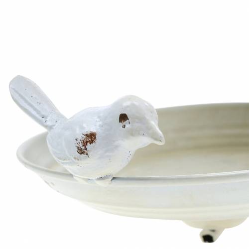 Floristik24 Comedero para pájaros para colgar crema de metal, rejilla Ø21cm H27cm