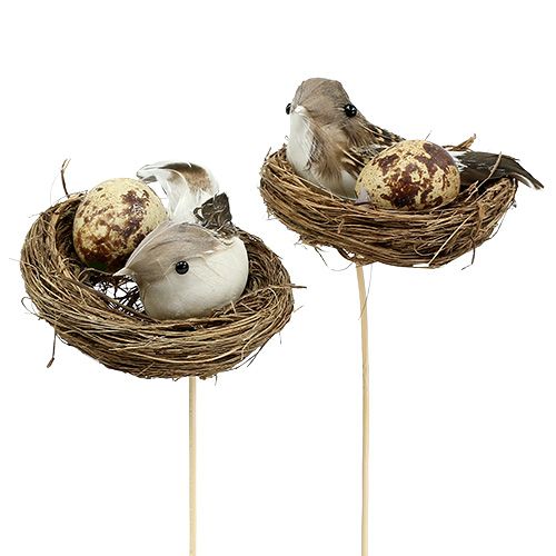 Floristik24 Nido de pájaro en palo Ø7cm L24cm 6pcs