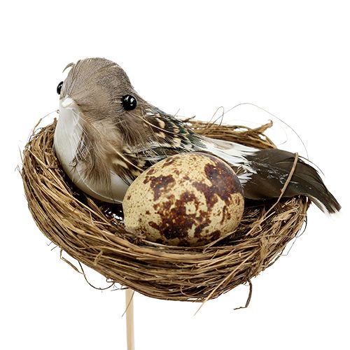 Floristik24 Nido de pájaro en palo Ø7cm L24cm 6pcs