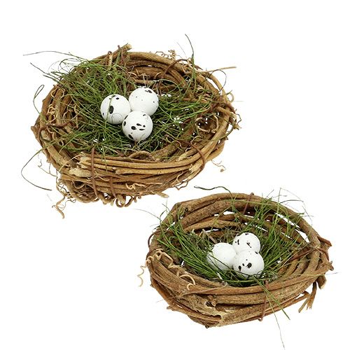 Floristik24 Nido de pájaros con huevos Ø9cm 6pcs