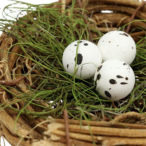 Floristik24 Nido de pájaros con huevos Ø9cm 6pcs
