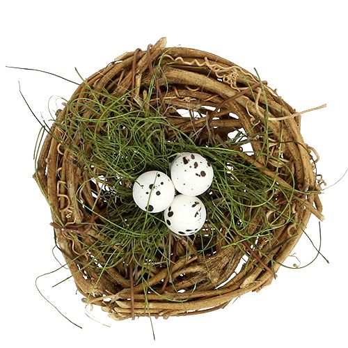 Floristik24 Nido de pájaros con huevos Ø9cm 6pcs