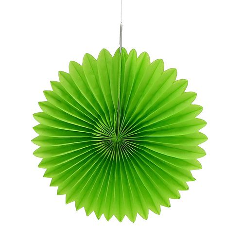Floristik24 Panal Papel Flor Verde Ø20cm 3pcs