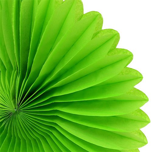 Floristik24 Panal Papel Flor Verde Ø20cm 3pcs