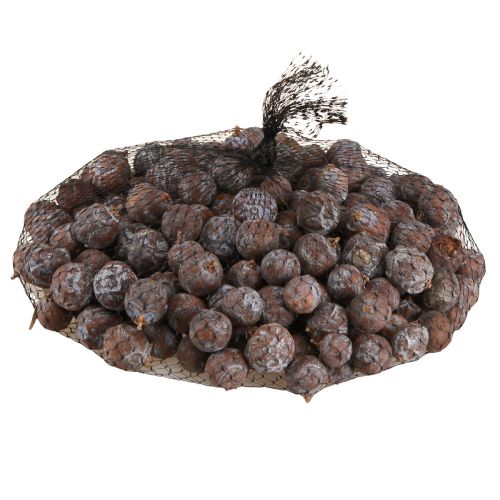 Floristik24 Conos de enebro Enebro sirio natural Ø1,5–2,5cm 1kg