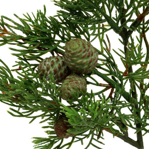 Floristik24 Rama de enebro con conos verdes 39cm 3pcs