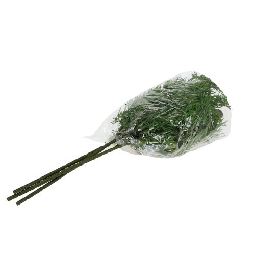 Floristik24 Rama de enebro con conos verdes 39cm 3pcs
