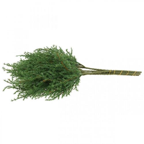 Floristik24 Rama de enebro rama decorativa verde artificial Navidad 39cm 6pcs