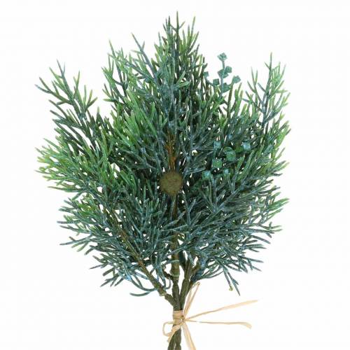 Floristik24 Deco rama enebro con conos verde, azul lavado 25cm 2ud