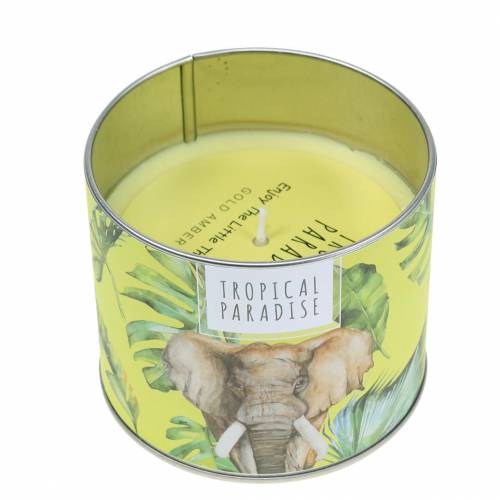 Floristik24 Vela perfumada en caja rainforest yellow Ø9.5cm H8cm