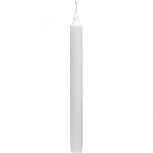 Floristik24 Velas de cera PURE velas de palo blanco 250/23mm cera natural 4uds