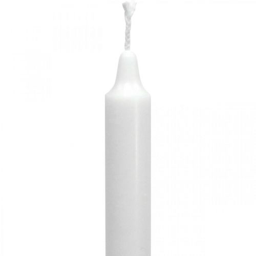 Velas de cera PURE velas de palo blanco 250/23mm cera natural 4uds